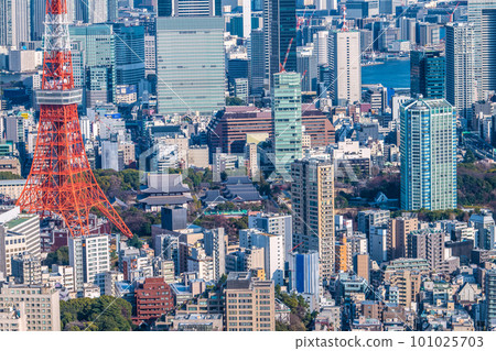 View of Tokyo cityscape of Japan, such as the cityscape of Shiba Park and Zojoji Temple View of Tokyo cityscape of Japan, such as the cityscape of Shiba Park and Zojoji Temple 101025703