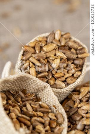 heavily fried sunflower seeds close up 101025738