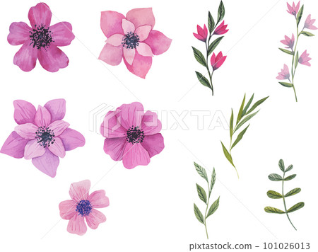 Set of beautiful hand drawn flowers in retro style. 101026013