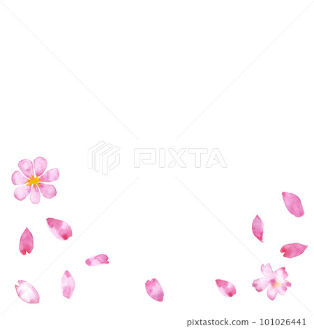 水彩畫的春天櫻花花瓣。花瓣在風中跳舞的插圖。 101026441