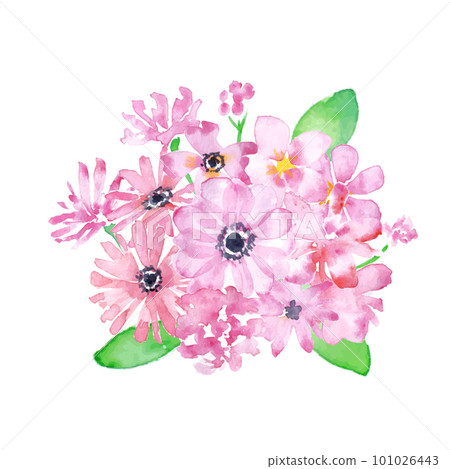 用水彩繪製的春季植物插圖。粉紅色的宇宙圖。粉色花瓣插圖集。 101026443