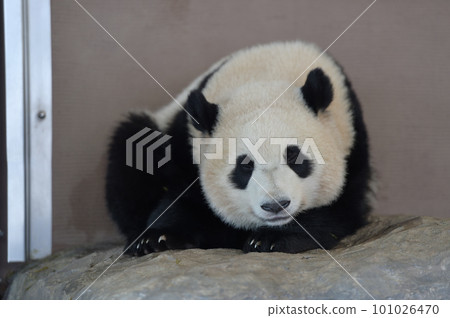 放鬆湯濱 放鬆湯濱 101026470