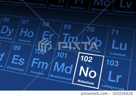 Nobelium on the periodic table. Radioactive transuranic metallic element in the actinide series, with atomic number 102 and symbol No, named in honor of Alfred Nobel, the inventor of dynamite. Vector. 101026826