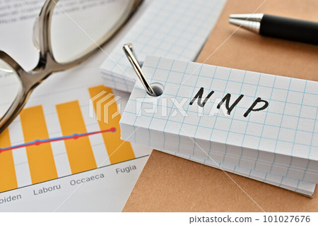 一張寫有 NNP 單詞書的桌子 101027676