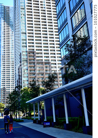 KACHIDOKI THE TOUR和Kachidoki地區其他高層公寓的風景 101027775