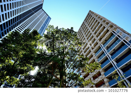 KACHIDOKI THE TOUR和Kachidoki地區其他高層公寓的風景 101027776