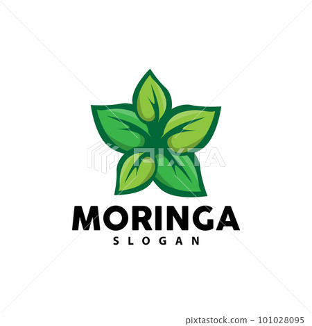 Leaf Logo, Eco Green Plant Vector, Green Earth Care Recycling Design, Moringa Leaf Logo Icon Template Illustration 101028095