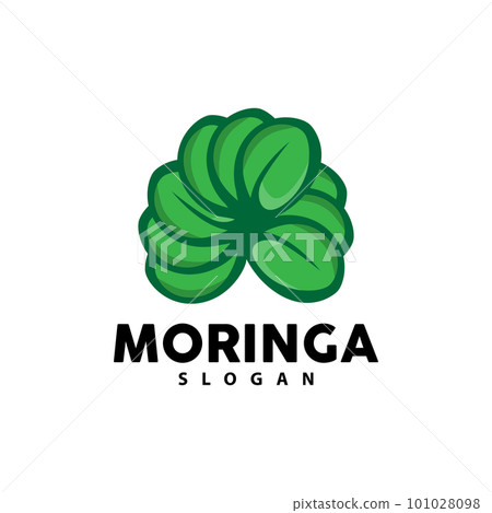 Leaf Logo, Eco Green Plant Vector, Green Earth Care Recycling Design, Moringa Leaf Logo Icon Template Illustration Leaf Logo, Eco Green Plant Vector, Green Earth Care Recycling Design, Moringa Leaf Logo Icon Template Illustration 101028098