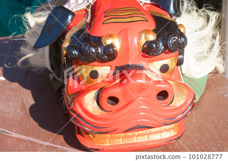 Lion head Lion head 101028777