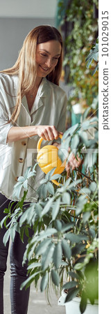 Flourist shop with different kinds of dryed flowers Flourist shop with different kinds of dryed flowers 101029015