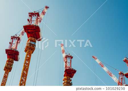 Many cranes stretched out into the blue sky at a large-scale construction site c-5 with warm colors Many cranes stretched out into the blue sky at a large-scale construction site c-5 with warm colors 101029230