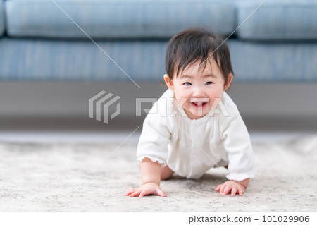 Baby crawling sitting smile Baby crawling sitting smile 101029906
