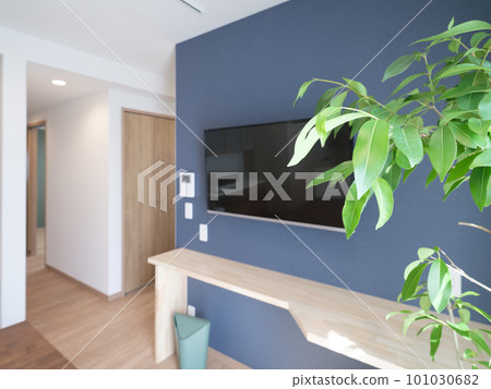 新建合租房屋中常見的時尚客廳 101030682