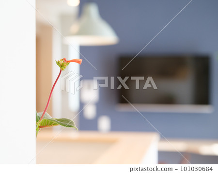 新建共享房屋中常見的客廳照片 新建共享房屋中常見的客廳照片 101030684