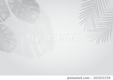 Empty monstera shadow texture pattern cement on grey wall background Summer tropical minimal concept Empty monstera shadow texture pattern cement on grey wall background Summer tropical minimal concept 101031539