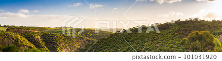 Onkaparinga River National Park canyon panoramic view Onkaparinga River National Park canyon panoramic view 101031920