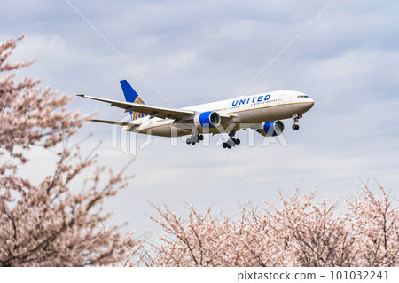 Airport in spring Landing planes and cherry blossoms Sakuranoyama Park Narita City, Chiba Prefecture Airport in spring Landing planes and cherry blossoms Sakuranoyama Park Narita City, Chiba Prefecture 101032241