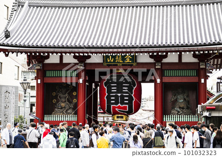 櫻花盛開的繁華淺草 101032323