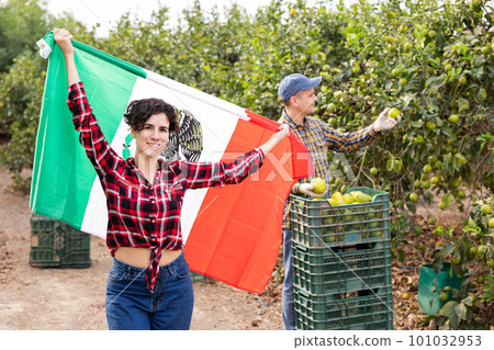 Girl football fan waving Mexican flag during lemons harvest Girl football fan waving Mexican flag during lemons harvest 101032953