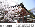 Spring Rock Shishimizu Hachimangu Shrine 101033842