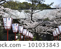 Spring Rock Shishimizu Hachimangu Shrine 101033843