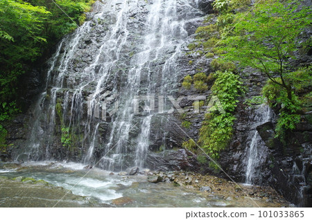 Ryusougataki Falls, Ikeda Town, Imadate District, Fukui Prefecture 101033865