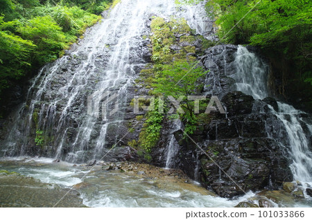 福井縣今館郡池田町龍總瀑布 101033866