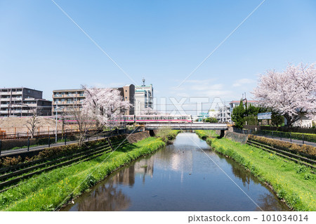 東京都調布市國野台,京王線列車衝過調布市的野川,櫻花美景,漫步在春天的藍天下 東京都調布市國野台,京王線列車衝過調布市的野川,櫻花美景,漫步在春天的藍天下 101034014