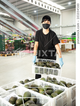 Woman working with avocado crates at factory 101034580