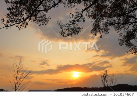夕陽的天空,日落,樹木 夕陽的天空,日落,樹木 101034607