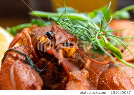 River boiled crayfish. Red cooked crayfish. Plate with crayfish. River boiled crayfish. Red cooked crayfish. Plate with crayfish. 101035077