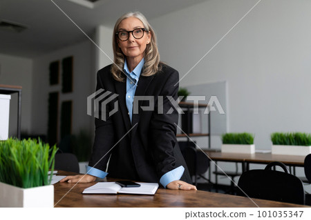 mature adult female accountant with gray hair in office mature adult female accountant with gray hair in office 101035347