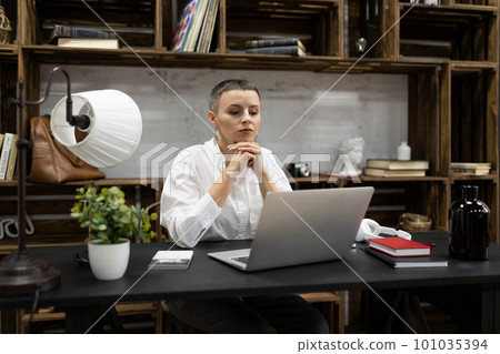 successful career woman working at a computer while sitting in a cozy office successful career woman working at a computer while sitting in a cozy office 101035394