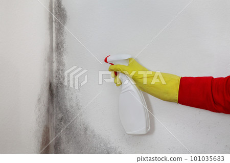 Worker cleaning mold from wall Worker cleaning mold from wall 101035683