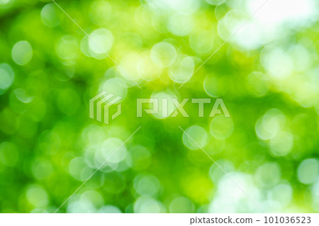 Green color bokeh, Green bacground, Blurred nature bokeh ure for the background Green color bokeh, Green bacground, Blurred nature bokeh ure for the background 101036523