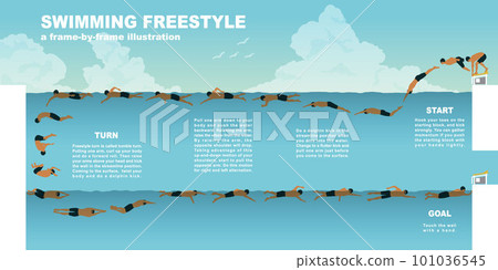 Wallpaper/background illustration swimming under the clear blue sky Crawl Freestyle 101036545
