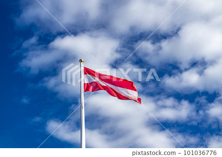 Austria national flag waving in the wind 101036776