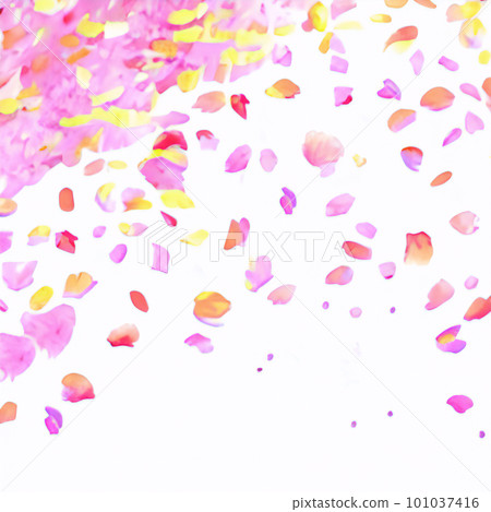 粉紅色背景與舞動的花瓣 粉紅色背景與舞動的花瓣 101037416