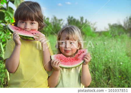 happy child eating watermelon in the garden 101037851