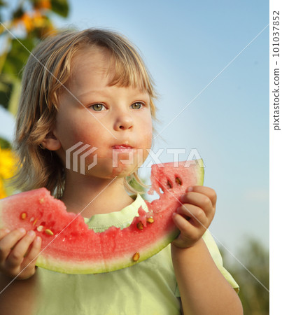happy child eating watermelon in the garden 101037852