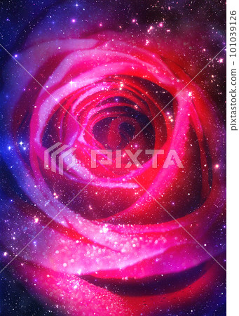 Rose flower and starry space Rose flower and starry space 101039126
