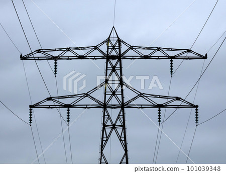 Electricity pylon, showing wires and insulator details 101039348