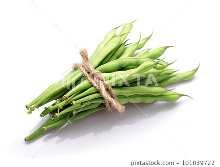 green bean 101039722
