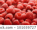 raspberry juicy ripe 101039727