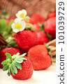 basket with berry on table 101039729