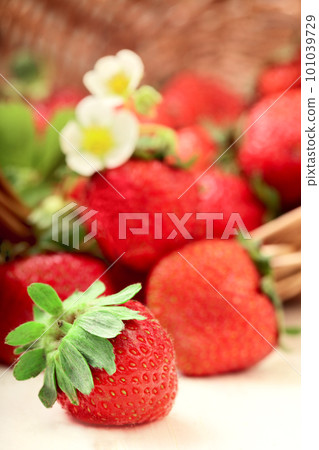basket with berry on table basket with berry on table 101039729