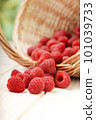 raspberry in a basket on the table 101039733