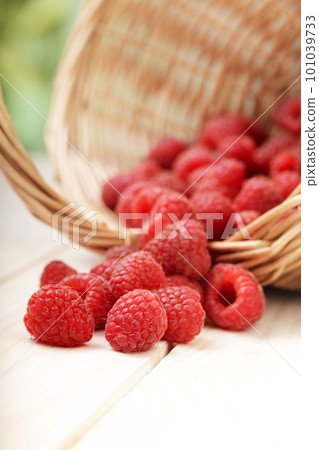 raspberry in a basket on the table raspberry in a basket on the table 101039733