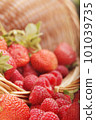 basket with strawberry and raspberry 101039735