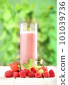 glass of smoothie in the garden 101039736